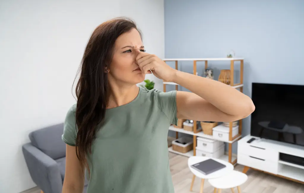 Odeurs d'égout à cause de la pluie